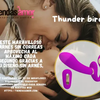 Vibrador femenino Thunderbird con doble estimulador