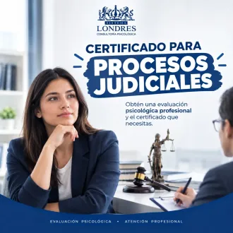CERTIFICADO PARA PROCESOS JUDICIALES - SISTEMA LONDRES