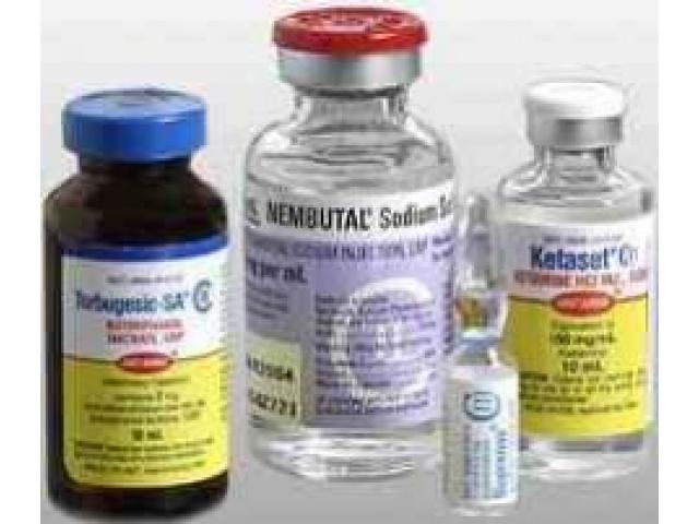 Nembutal Pentobarbital sódico líquido para uso humanoveterinario