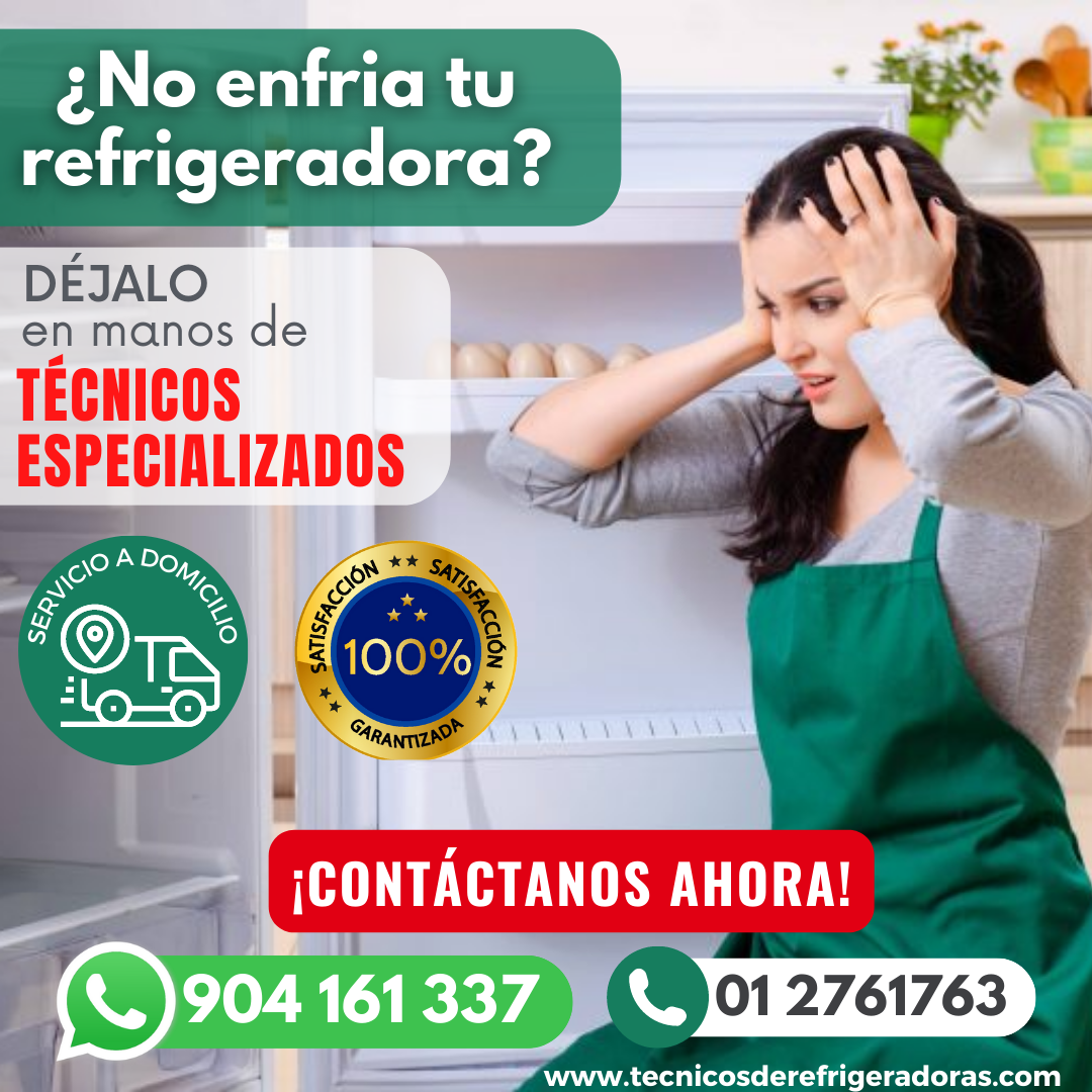 TÉCNICOS Samsung «Refrigeradoras» 904161337- Surquillo