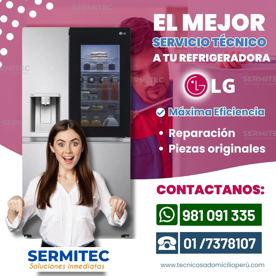 HOME SERVICE REFRIGERADORA LG ^^ 981 091 335 - Miraflores