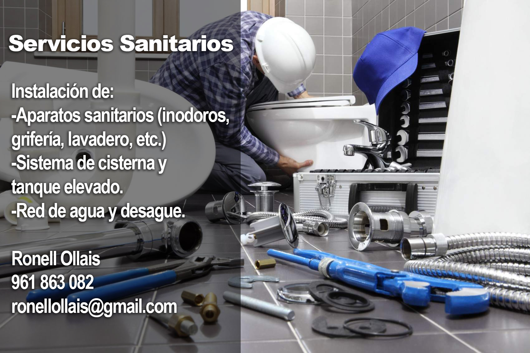 Servicio de Instalaciones Sanitarias y Gasfitería.