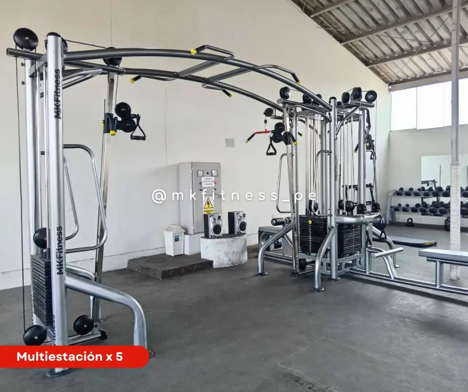  Equipos de gimnasio profesionales - Fabricación nacional