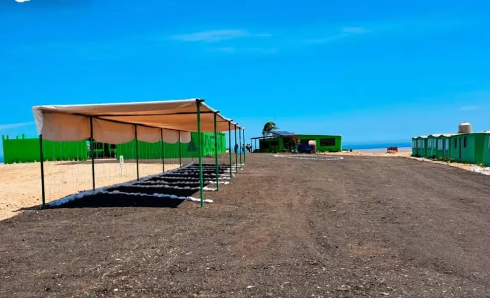 lotes con un inicial de 4000 soles a 20 minutos del mega puerto de chancay km125 de la panamericana norte