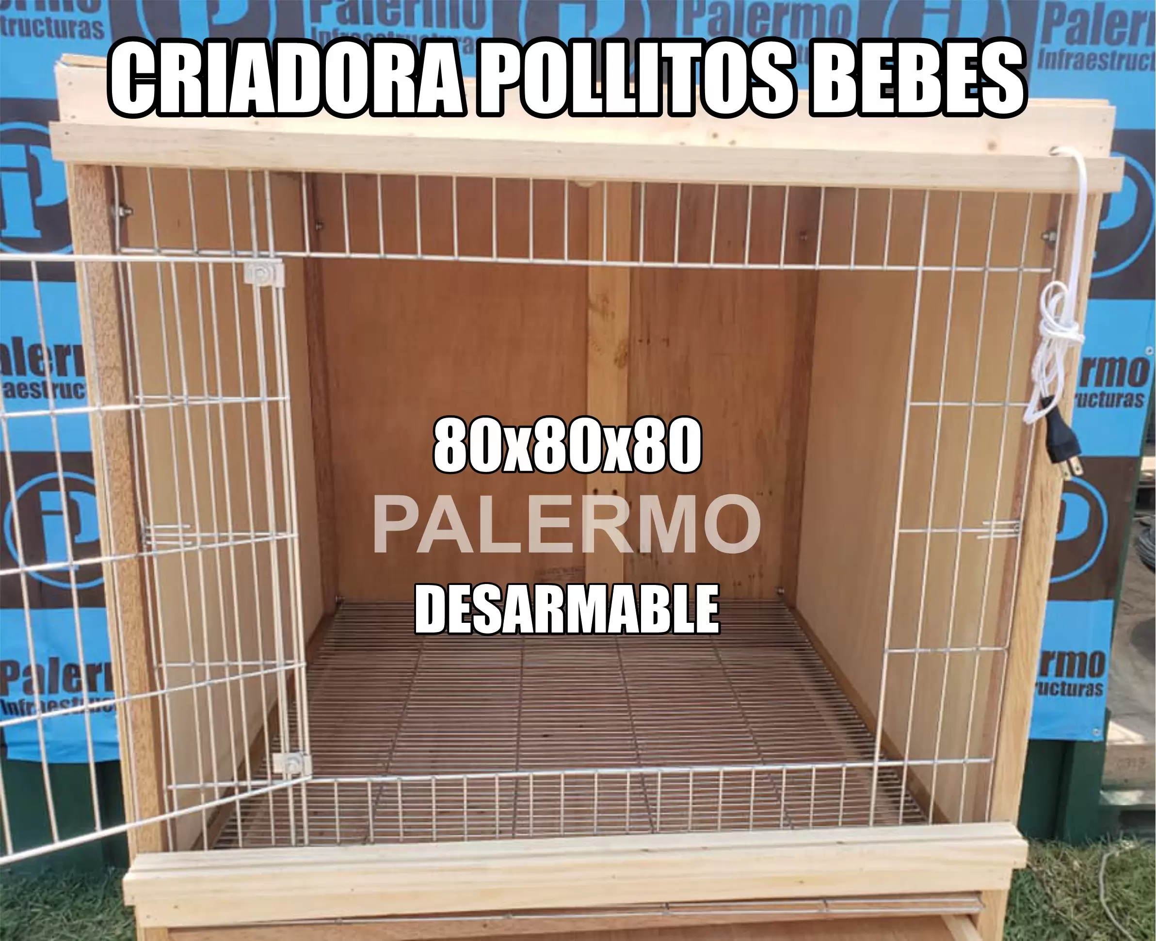 criadora para pollitos bebes