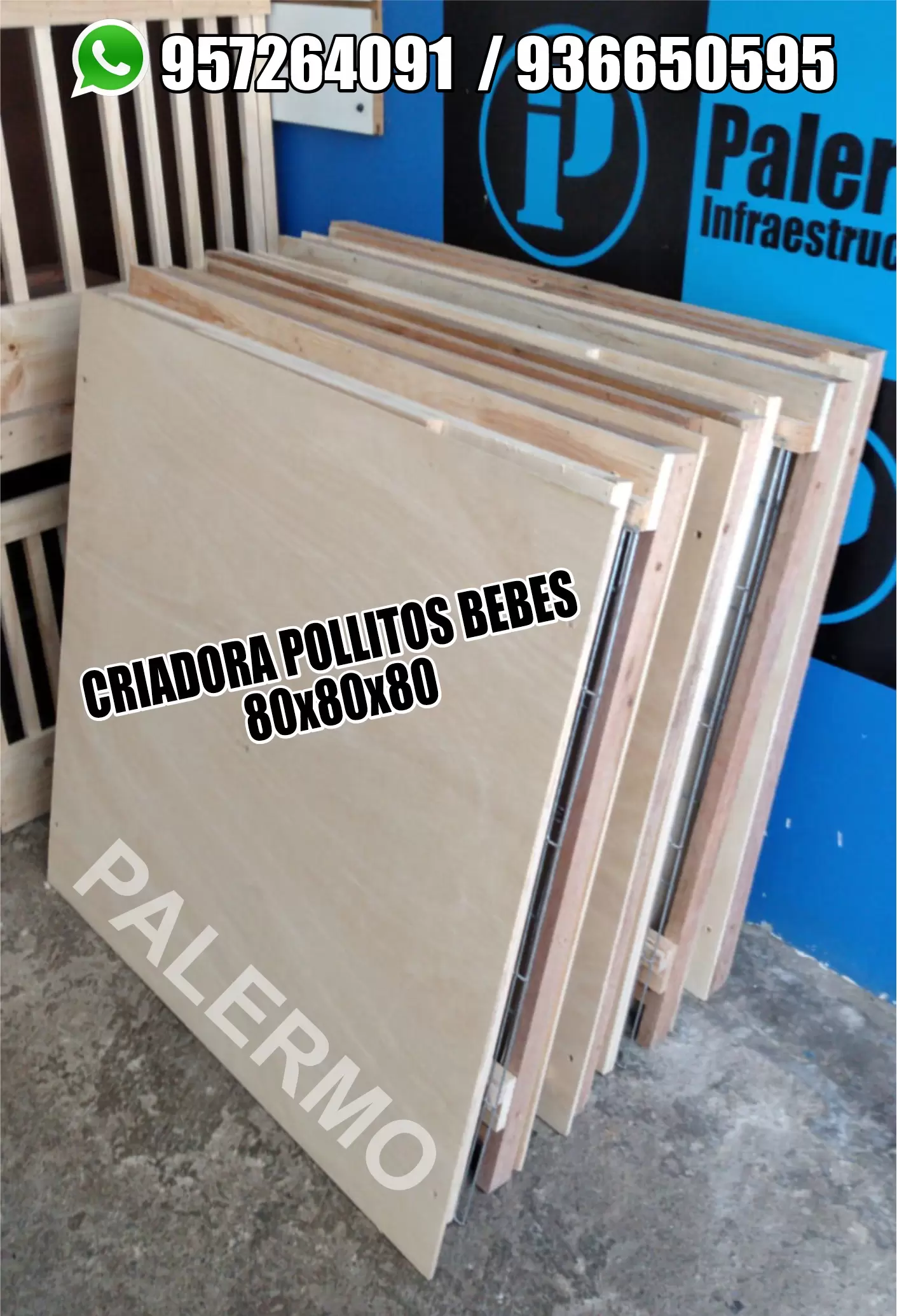 criadora para pollitos bebes