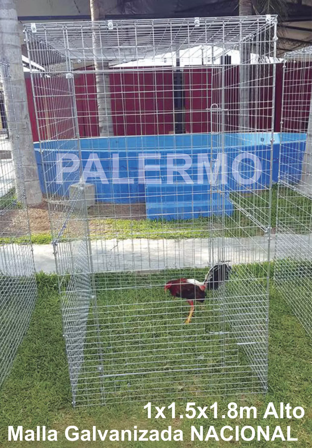 Voladeros desarmables para gallos