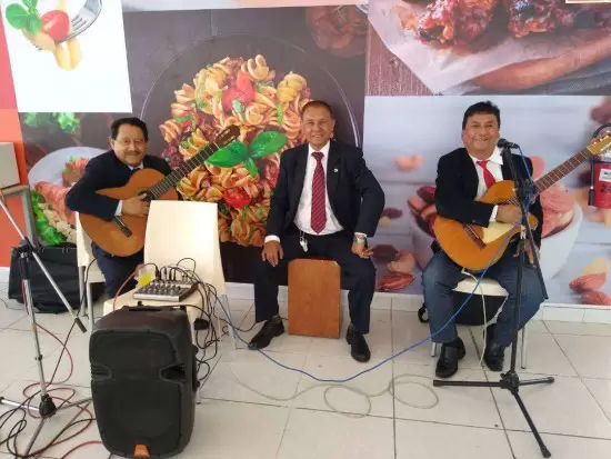 Música Grupos Conjuntos Criiollos Cantantes Guitarristas 