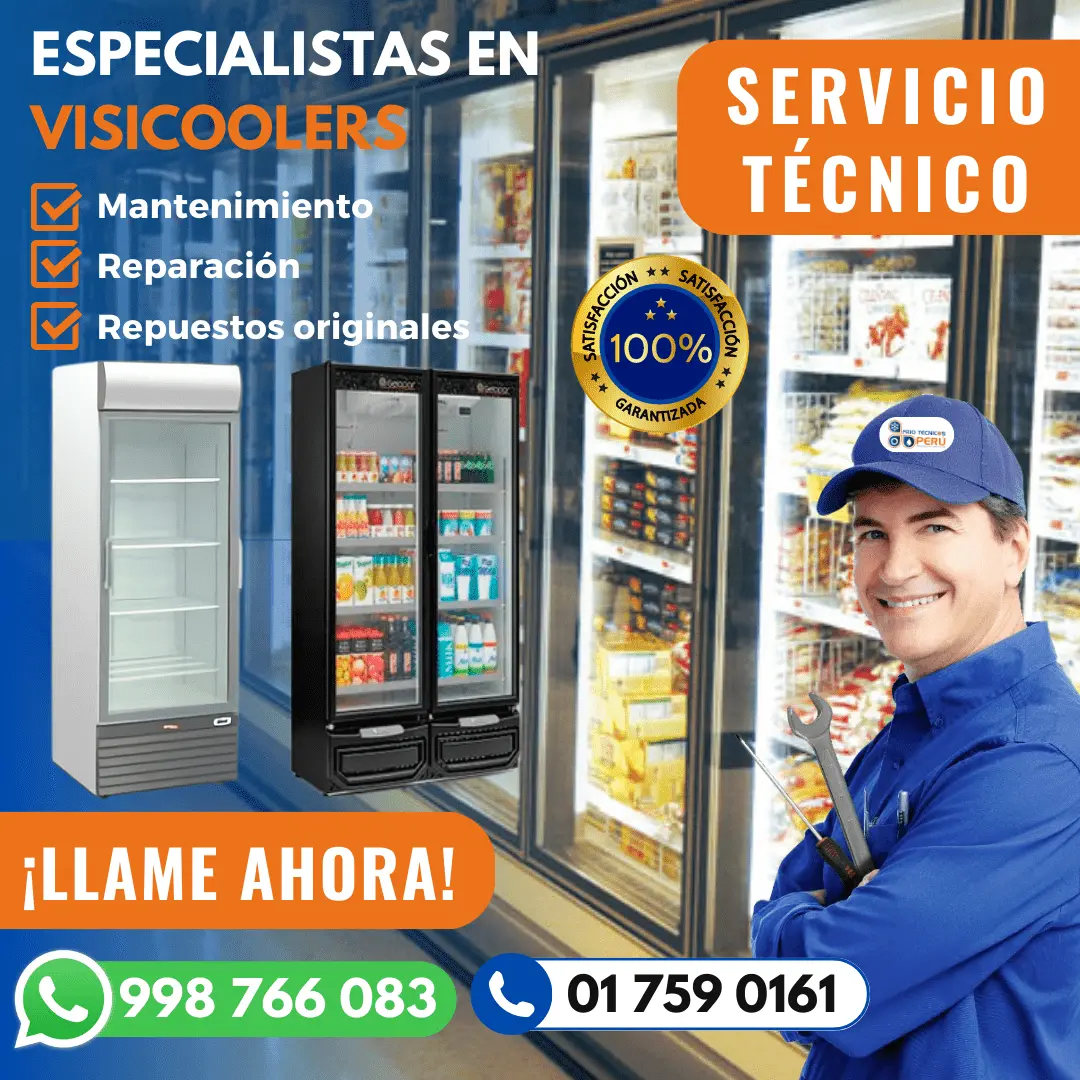 SERVICIO TÉCNICO REPARACIÓN DE VISICOOLER 998766083