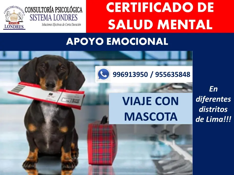 CERTIFICADO DE SALUD MENTAL - APOYO EMOCIONAL