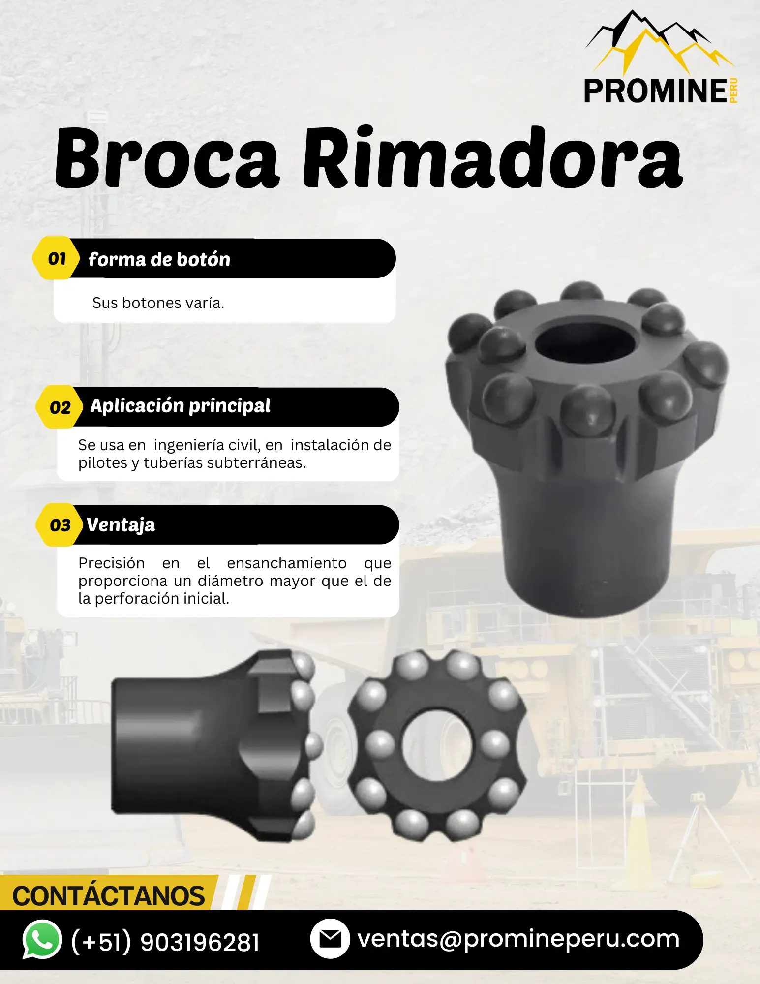 BROCA RAMIDORA 