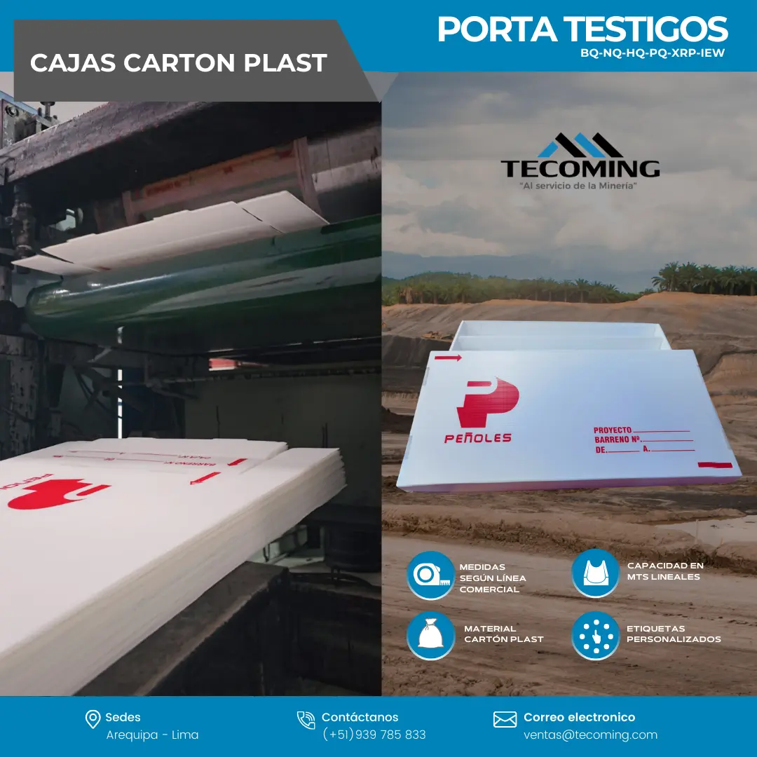 ALMACENADORES DE YACIMIENTOS MINEROS - BANDEJAS PORTATESTIGO TECOMING