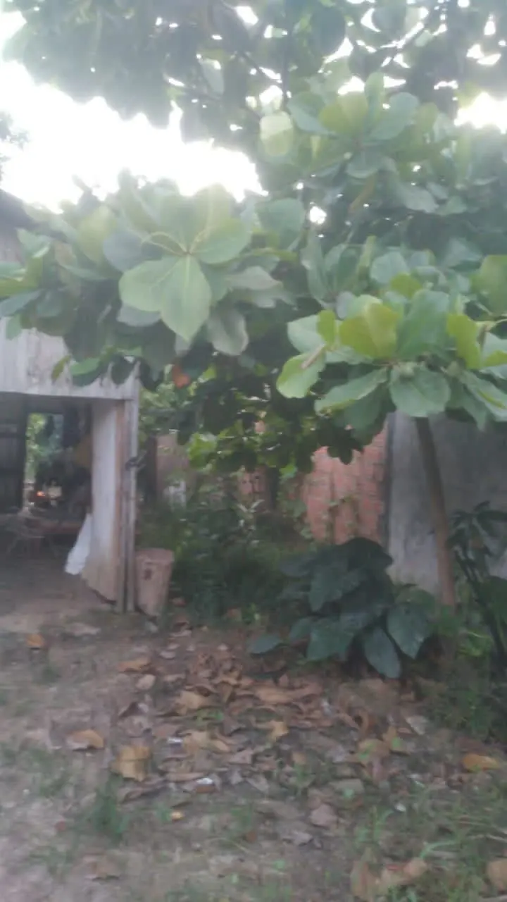 VENTA DE BONITO TERRENO PUCALLPA DISTRITO CALLERIA