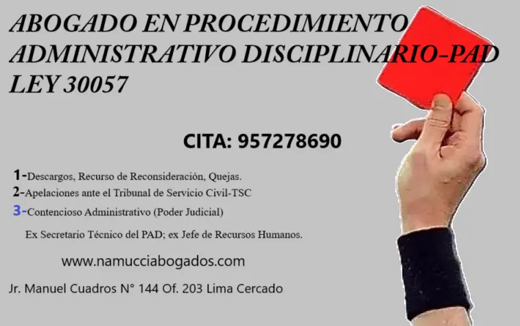 PROCEDIMIENTO ADMINISTRATIVO DISCIPLINARIO-PAD