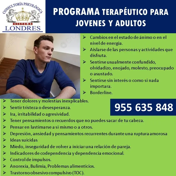 Programa Terapéutico para Jóvenes y Adultos