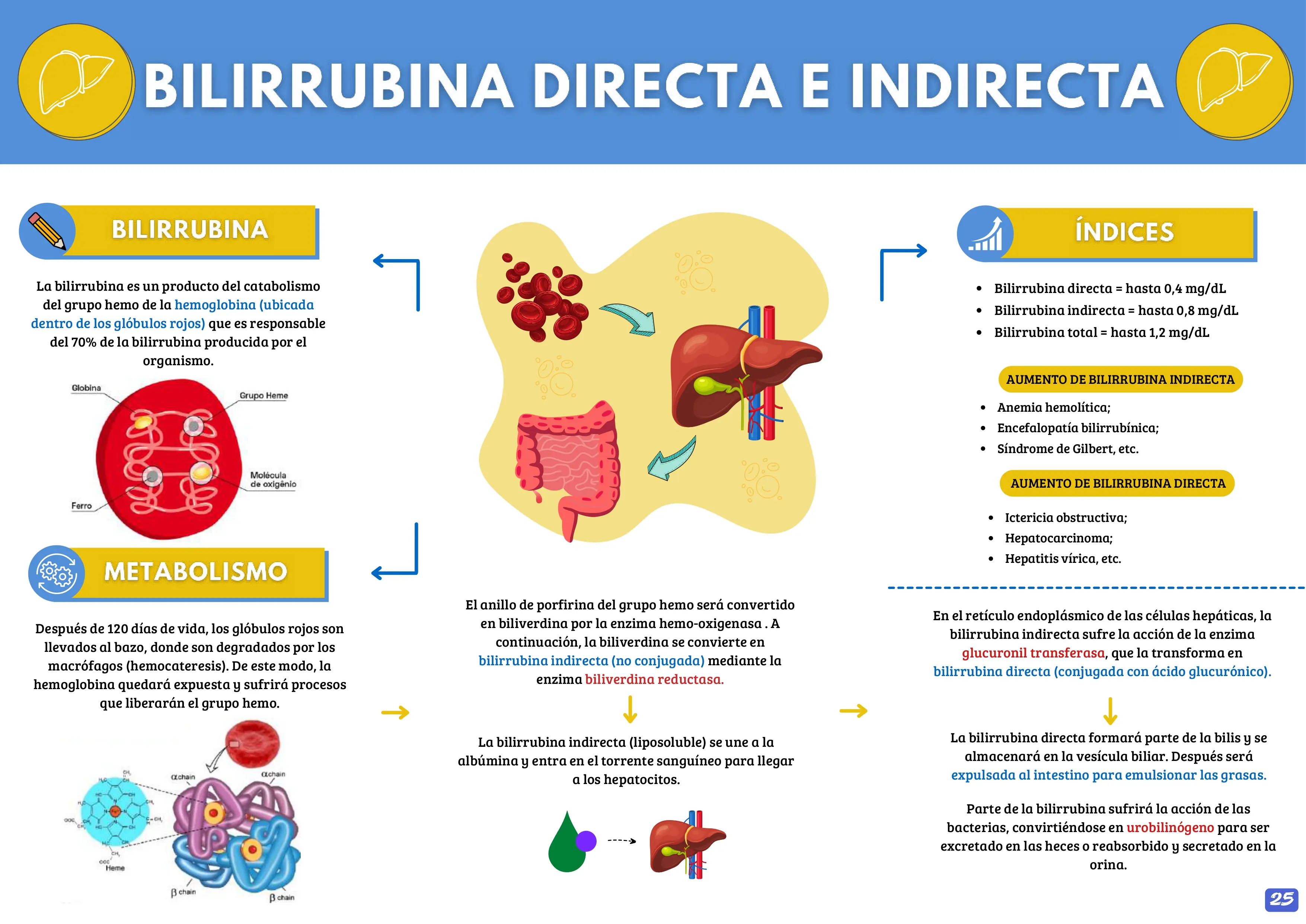 MANUAL DE INTERPRETACIÓN DE EXÁMENES DE LABORATORIO
