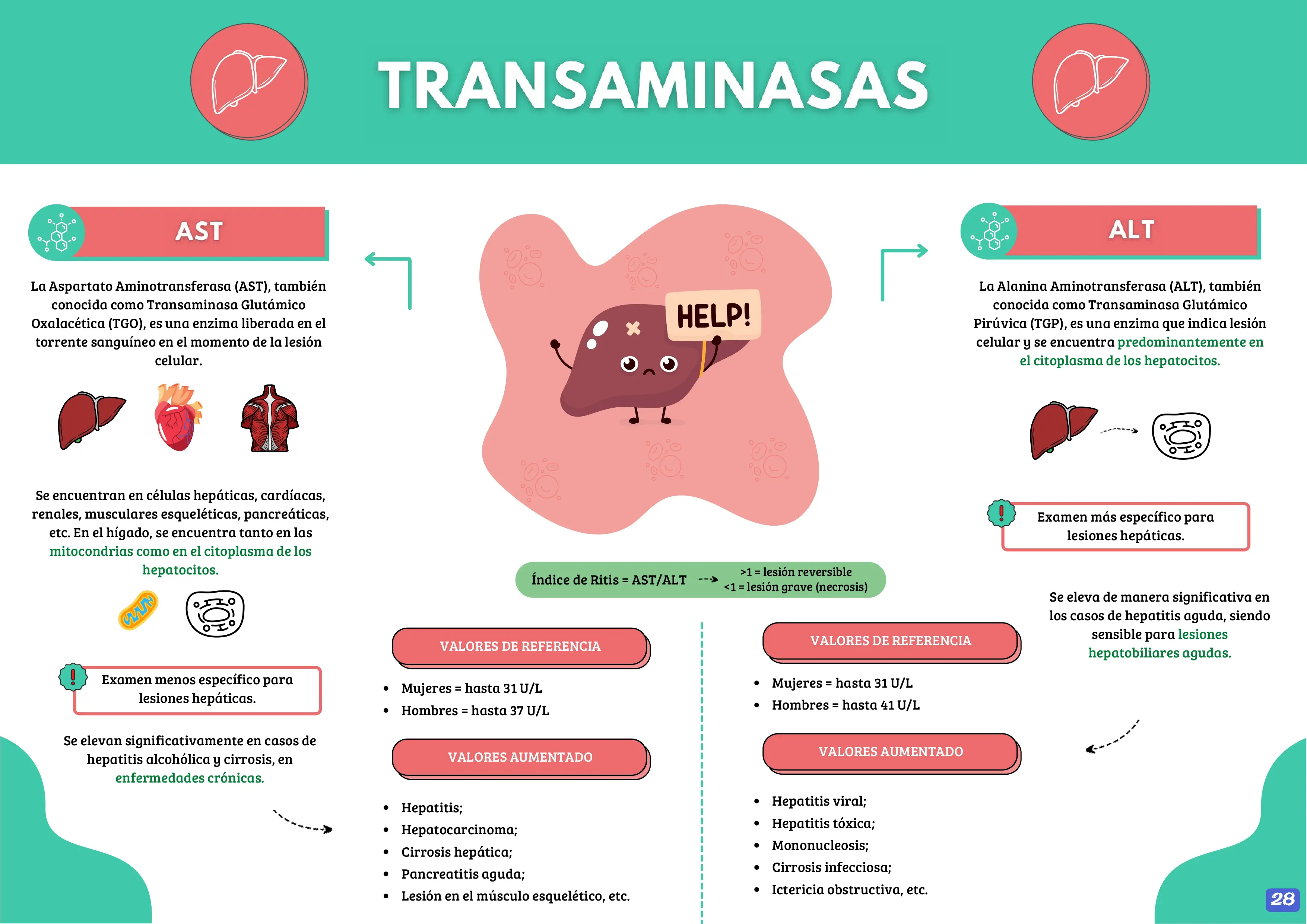 MANUAL DE INTERPRETACIÓN DE EXÁMENES DE LABORATORIO