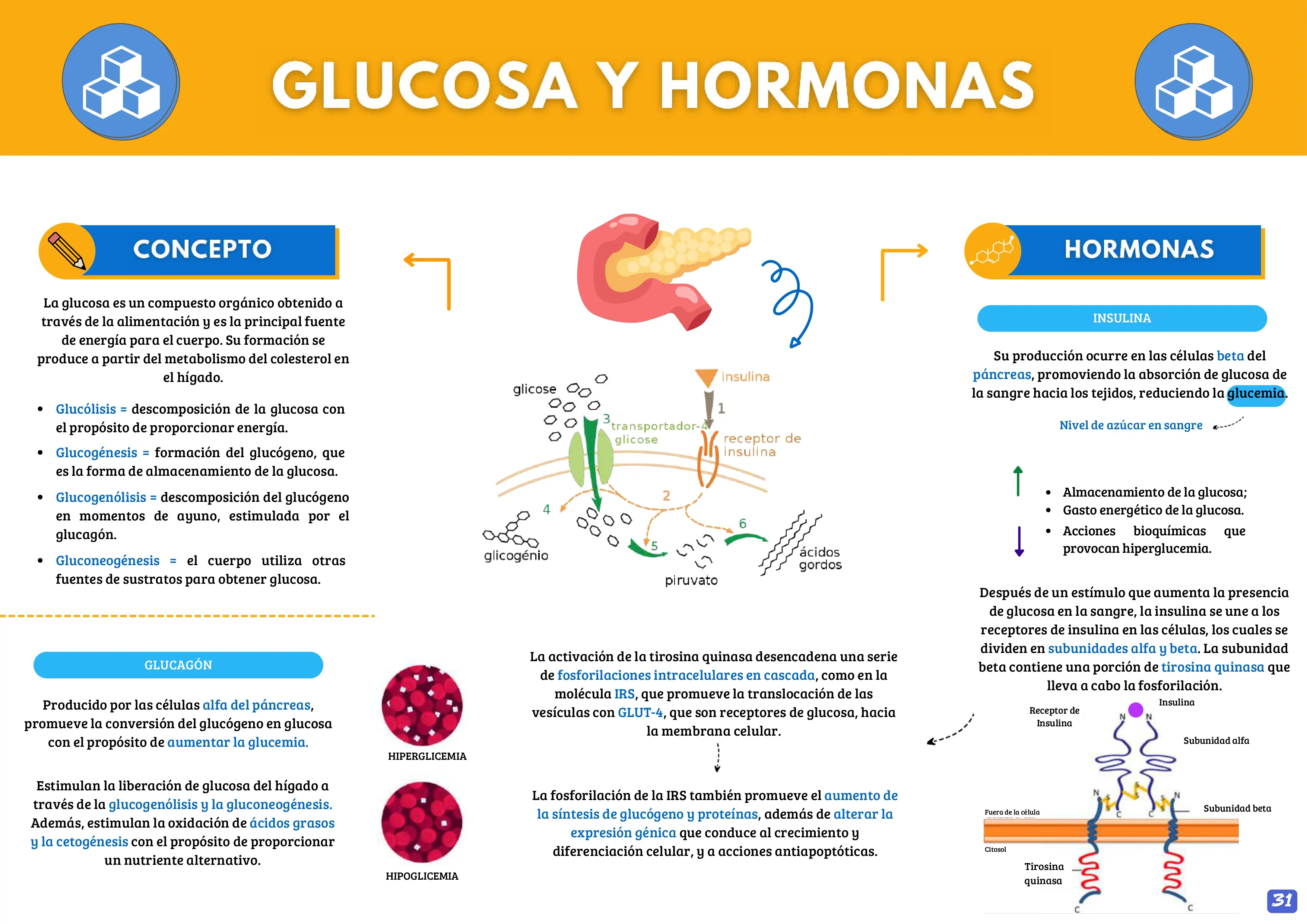 MANUAL DE INTERPRETACIÓN DE EXÁMENES DE LABORATORIO