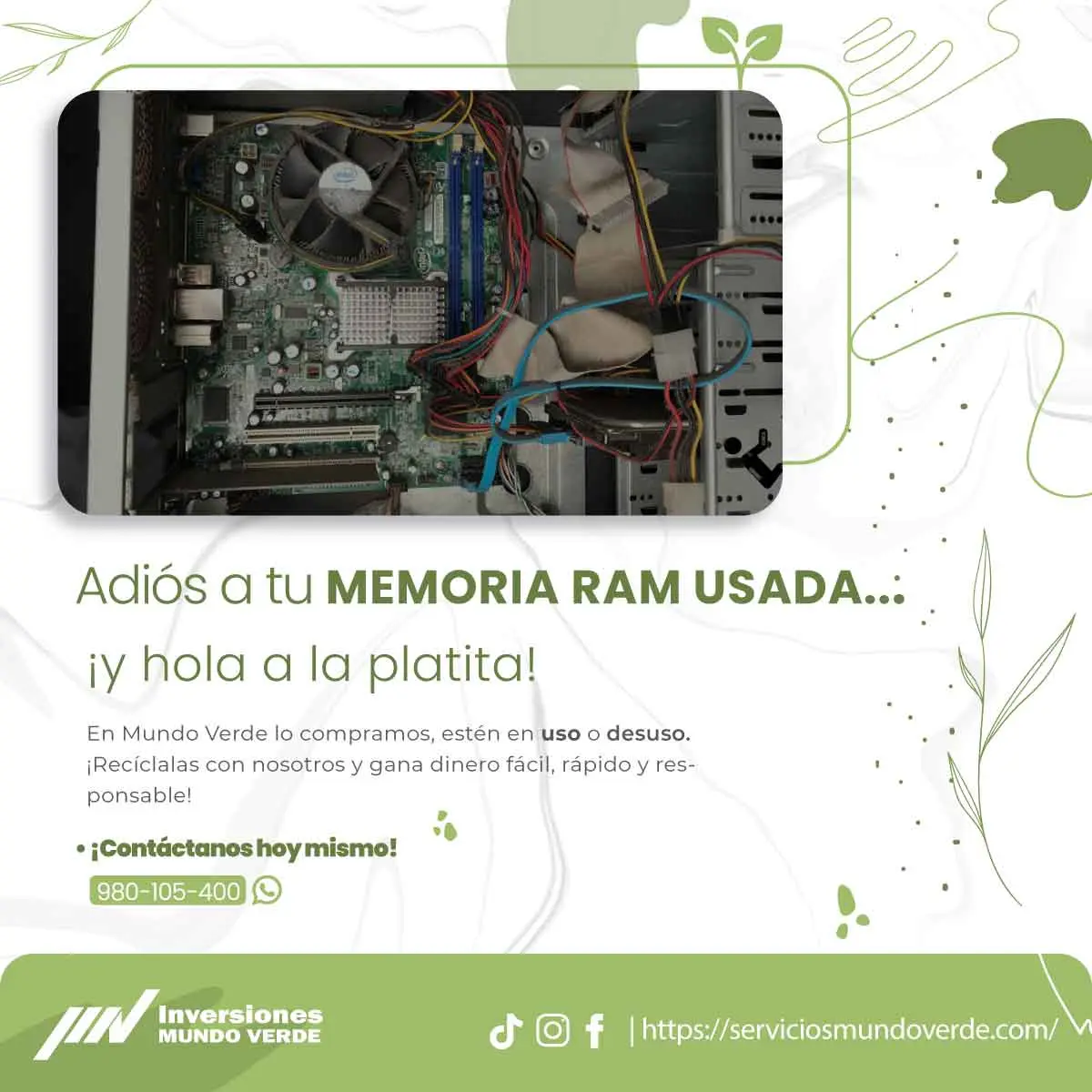  Lo viejo se va lo verde se queda 