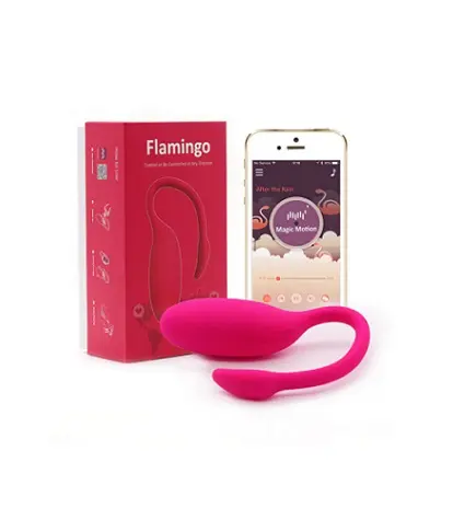 Flamingo Control APP