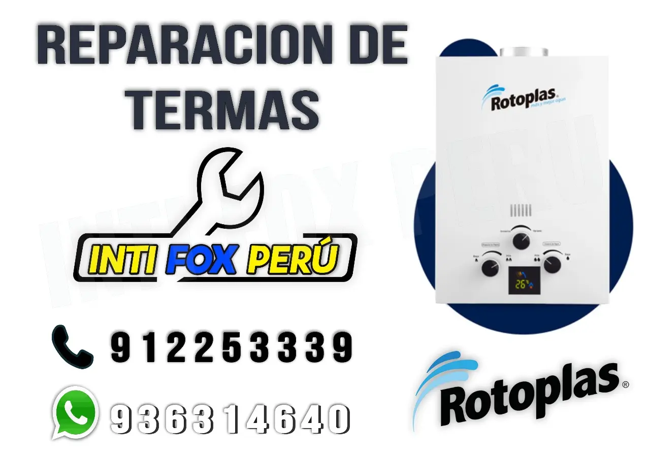  Reparamos tu terma en tiempo récord tecnico en vitarte 