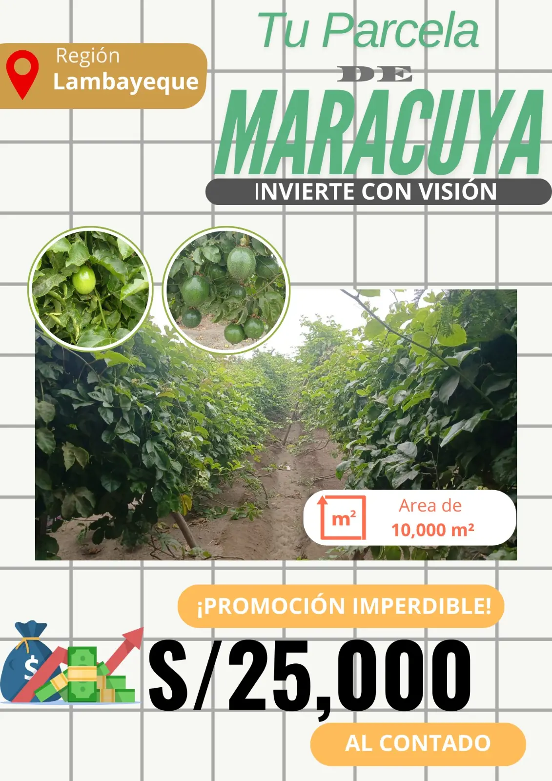 Proyecto Agroindustrias 