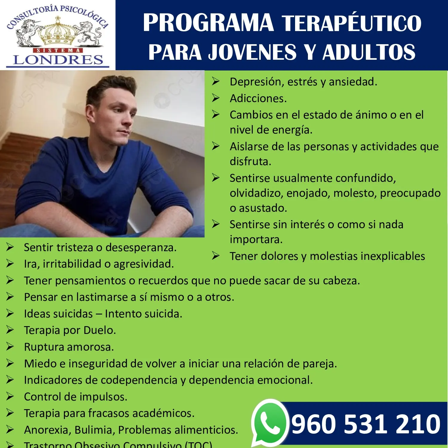 TERAPIA PSICOLOGICA SISTEMA LONDRES