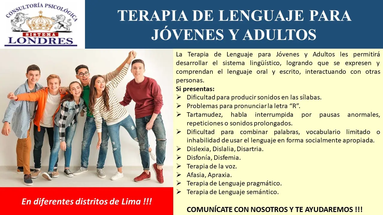 TERAPIA PSICOLOGICA SISTEMA LONDRES