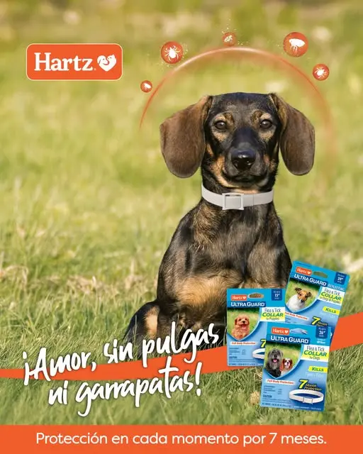 Collar Hartz Antipulgas Para Perros. Importado. Dura 7 Meses