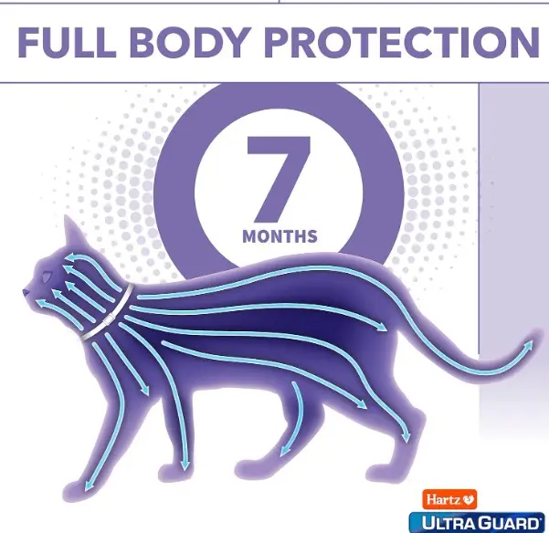 Collar Hartz Antipulgas Para Gatos Importado. Dura 7 Meses