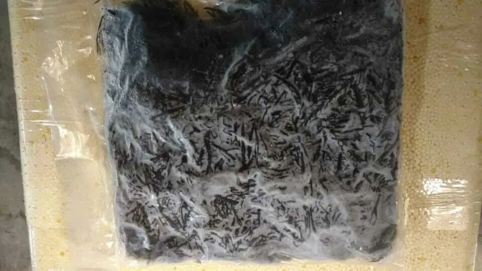 Algae yuyo marine frozen peruvian seaweed yuyo marino peru