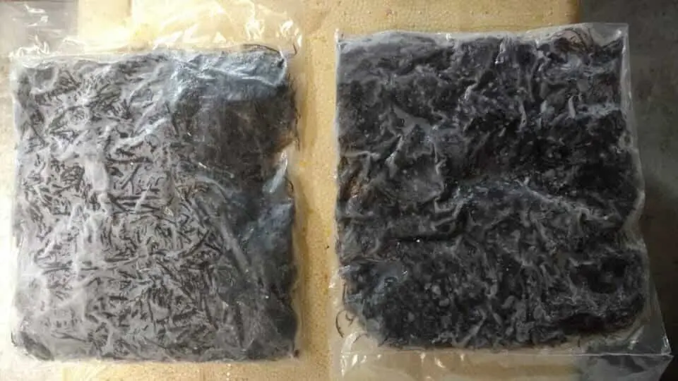 Algae yuyo marine frozen peruvian seaweed yuyo marino peru