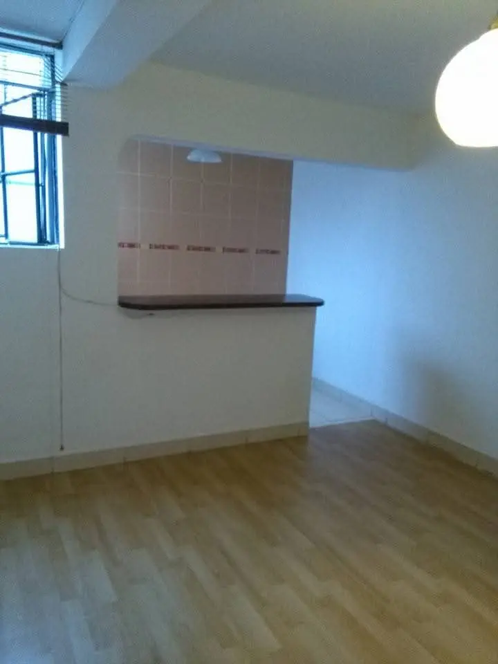 Lima lince dpto remato 