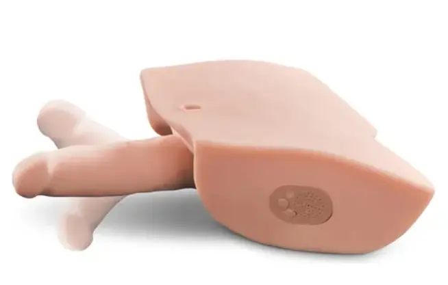 A- ACARICIADOR CONSOLADOR PDX INTERACTIVO PARA EL