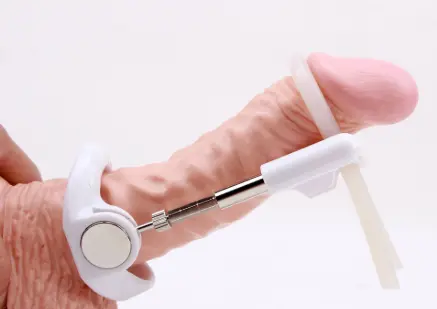 DESARROLLADOR PRO-EXTENDER