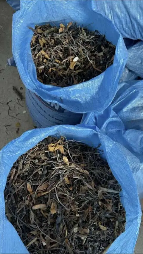 ALGAS MARINAS PERUVIAN EXPORT FROM PERU