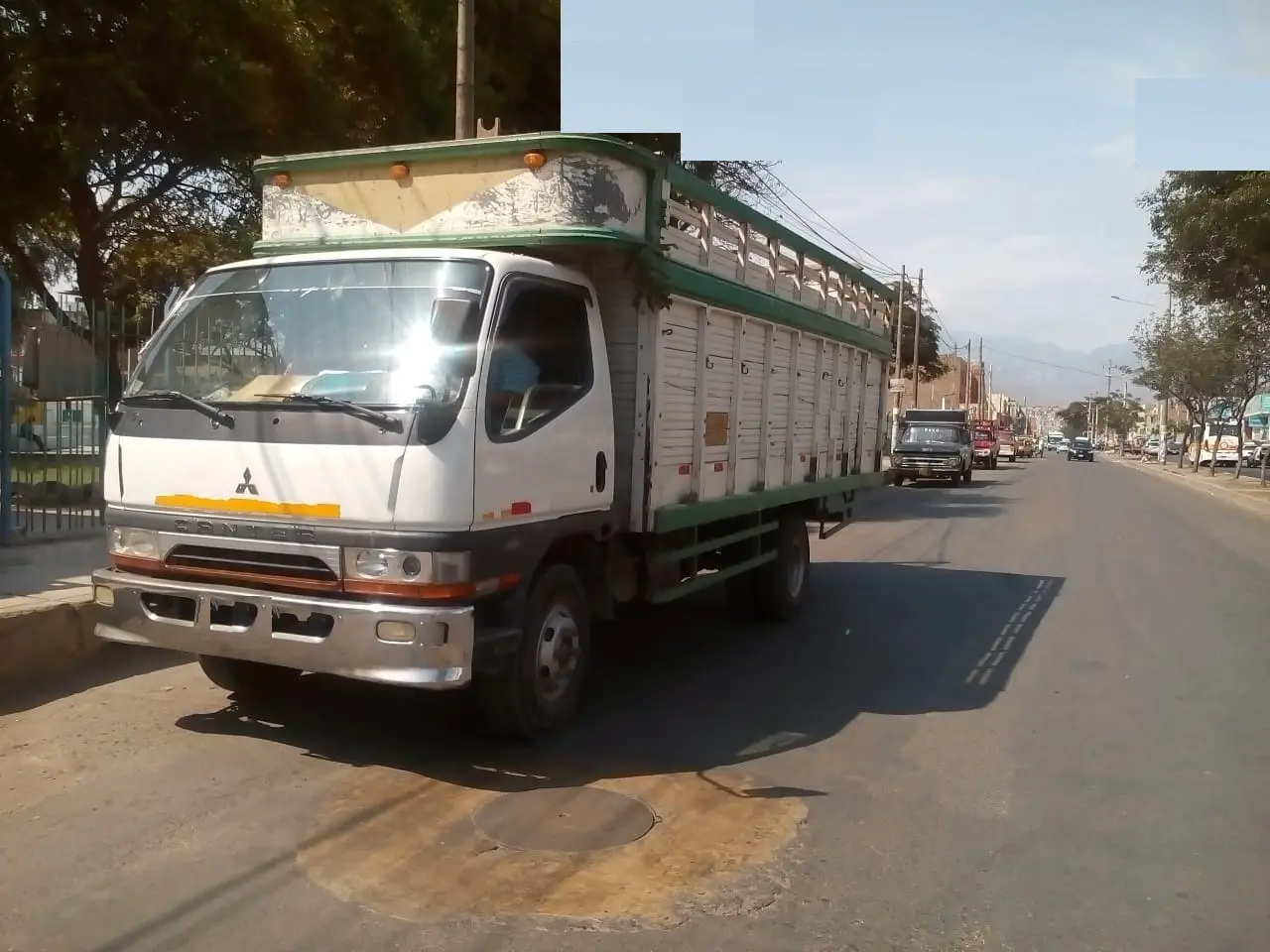 TRANSPORTE DE CARGAS Y MUDANZAS
