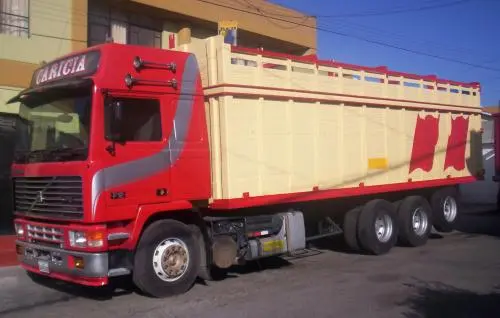 TRANSPORTE DE CARGAS Y MUDANZAS