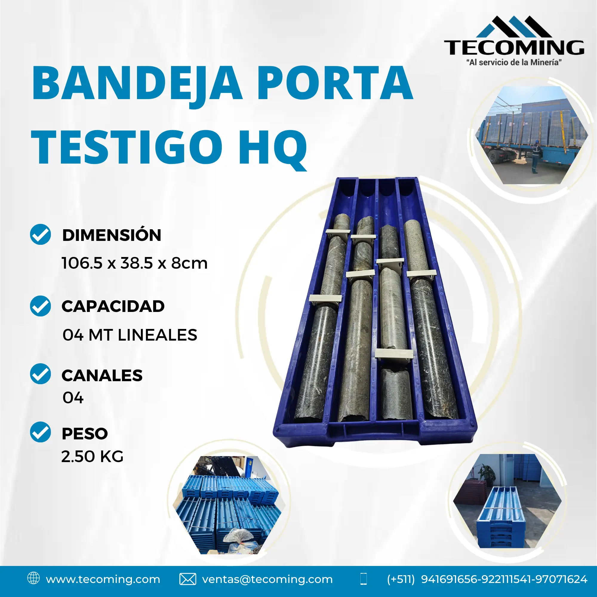 REGISTRO Y CONTROL MINERO BANDEJAS PARA YACIMIENTOS GEOLOG