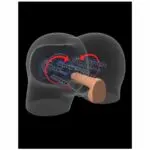 A-ACARICIADOR PDX ELITE CHICA MALA