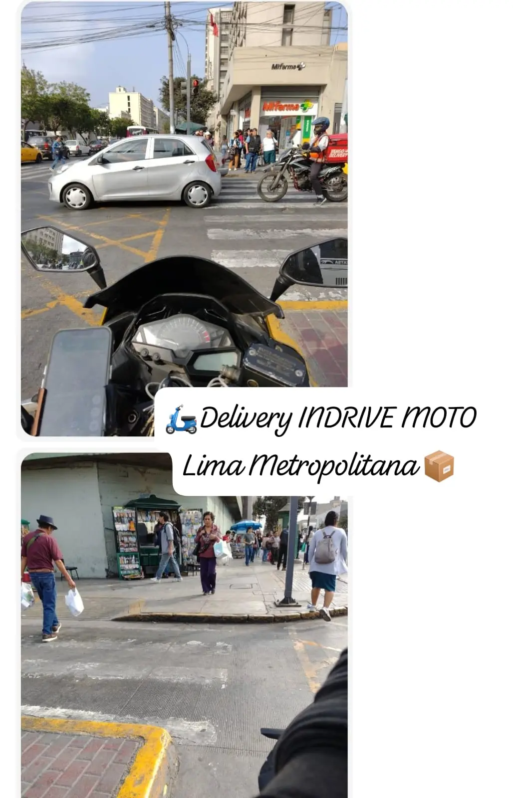 PANETÓN INTEGRALVEGANOKOKATON-CAJA MANA 900G 931214616