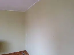 Leonidas Maestro pintor