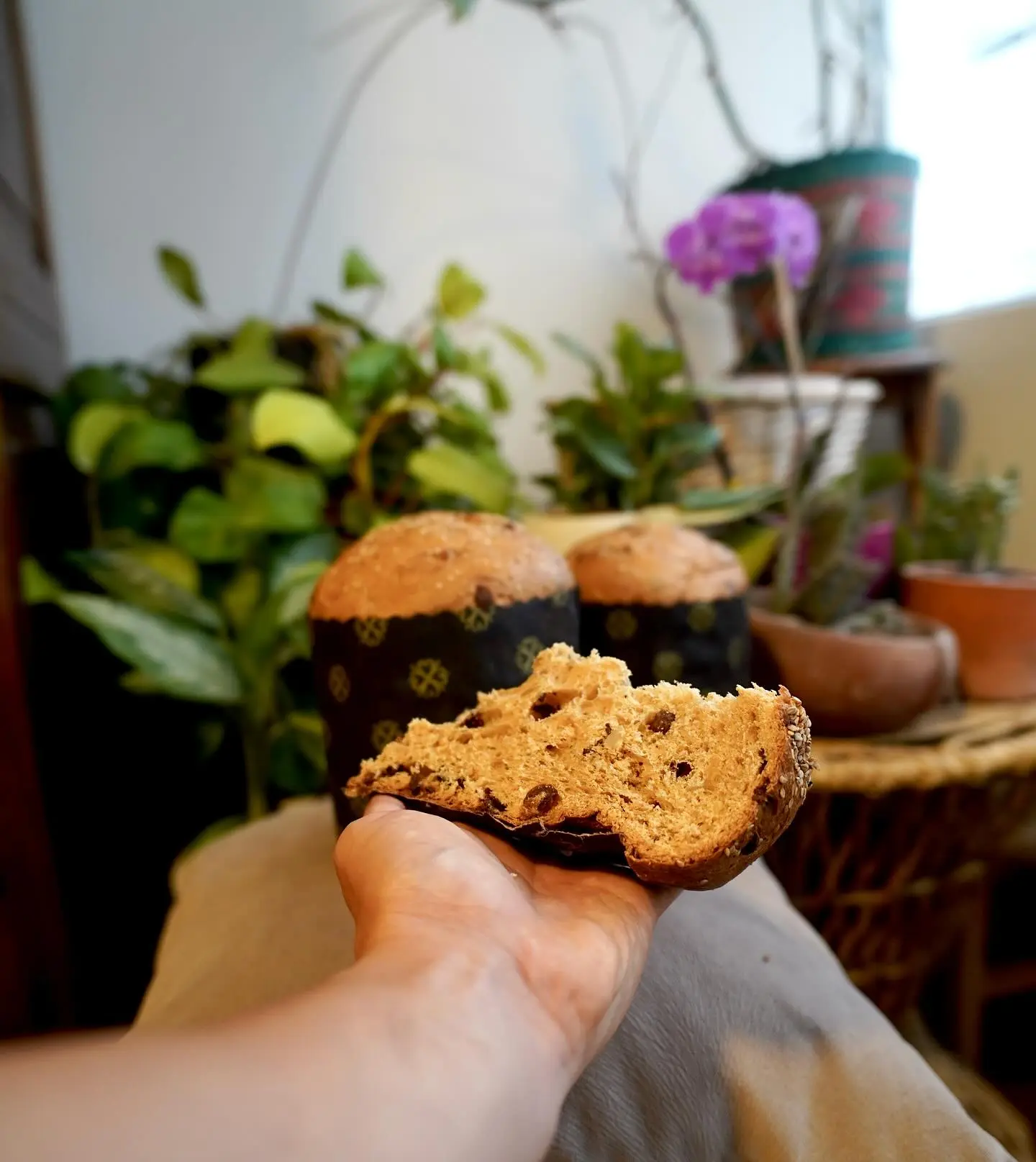 CHOCOTÓN INTEGRAL MANA-C chispas de cacao 60 -CEL 901612780