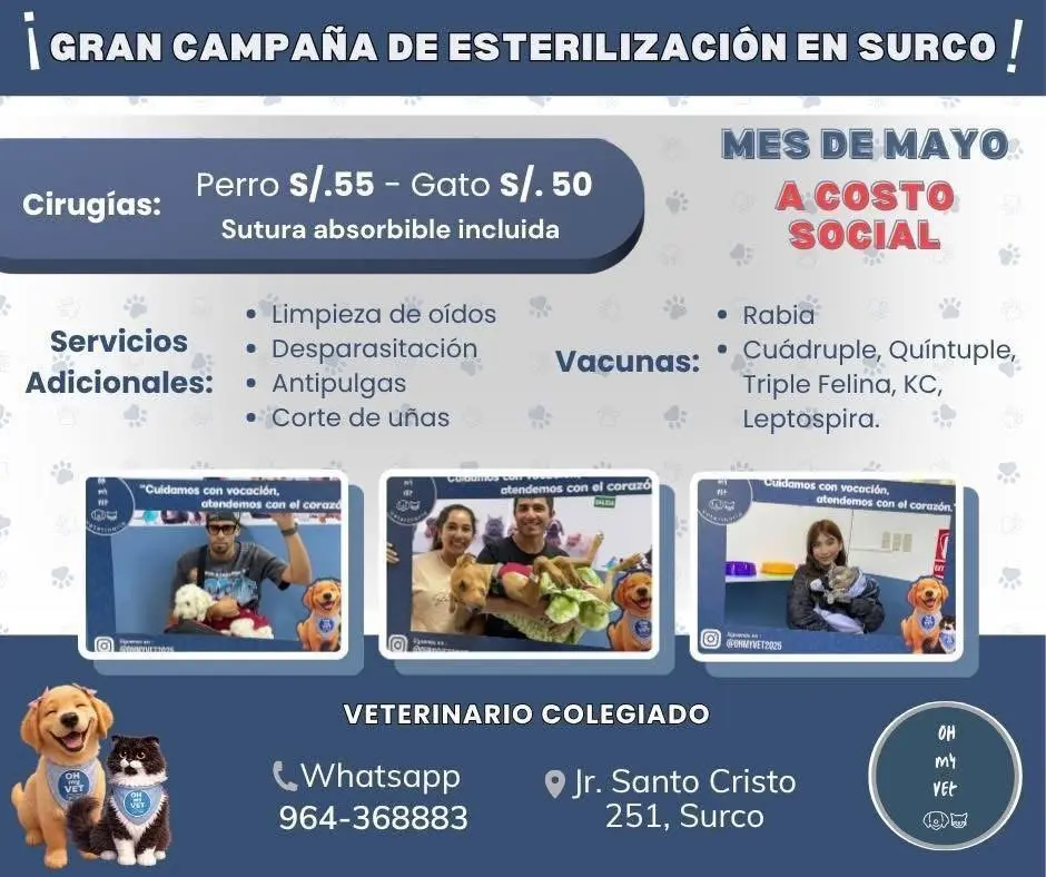 JORNADA DE ESTERILIZACION