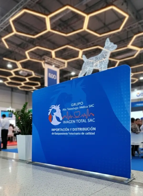 Backing de tensión con base pesada para eventos y exteriores