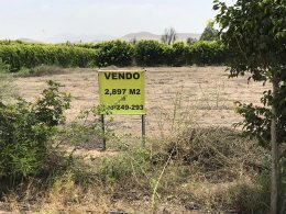 Terreno en Venta Praderas de San Andrés 