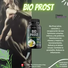 BIO PROST ORIGINAL 100 NATURAL Y EFECTIVO - JR. SOL DE ORO 2173