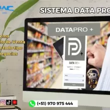 Sistema Datapro 