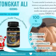 Tongkat Ali 1600mg PRODUCE TESTOSTERONA SEXSHOP- JR. SOL DE ORO