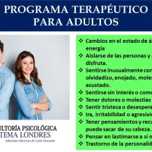 PROGRAMA TERAPEUTICO PARA ADULTOS